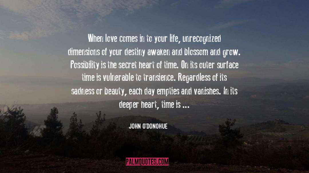 Transfigured quotes by John O'Donohue