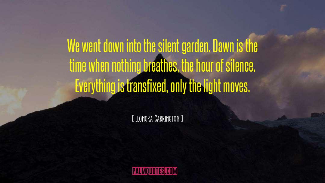 Transfixed quotes by Leonora Carrington
