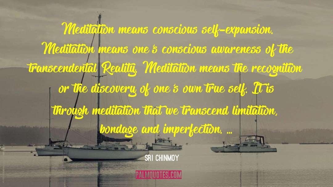 Transform And Transcend quotes by Sri Chinmoy