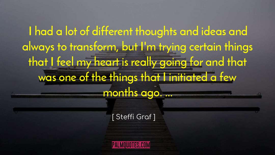 Transform And Transcend quotes by Steffi Graf