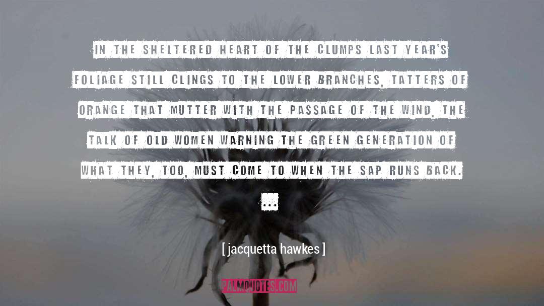 Transform Winter quotes by Jacquetta Hawkes