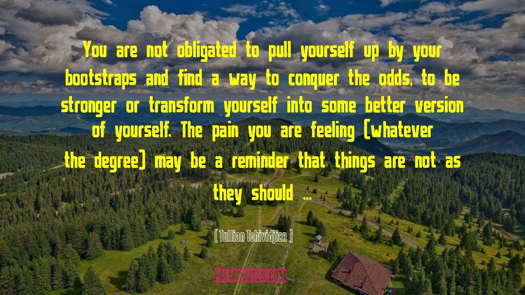 Transform Yourself quotes by Tullian Tchividjian