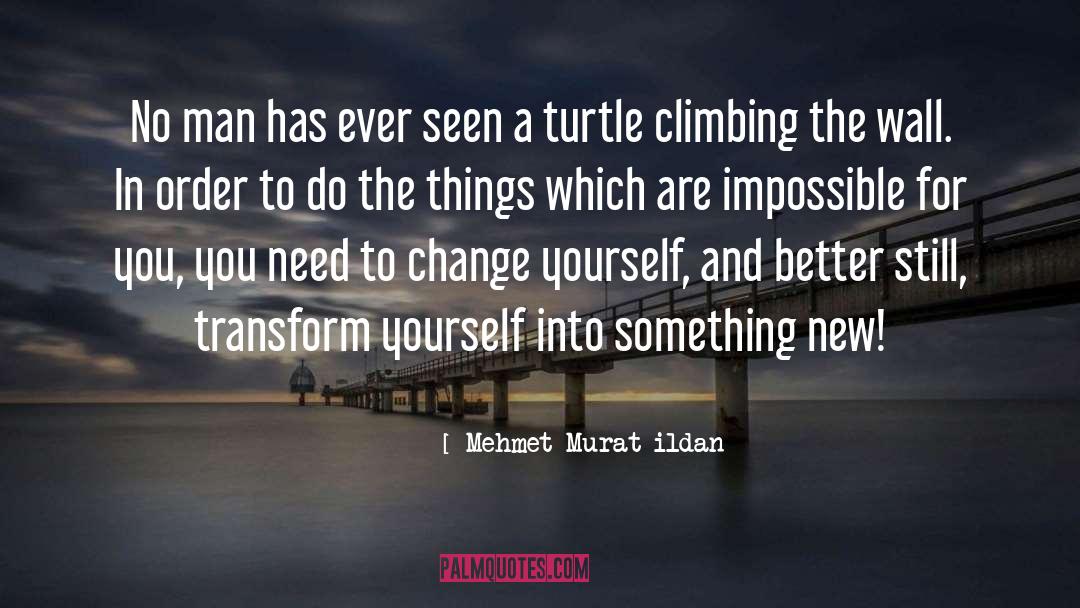 Transform Yourself quotes by Mehmet Murat Ildan