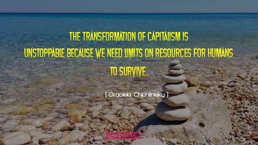 Transformation Growth quotes by Graciela Chichilnisky