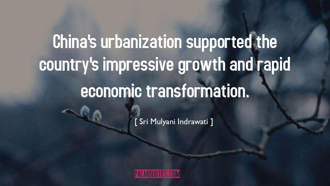 Transformation Growth quotes by Sri Mulyani Indrawati