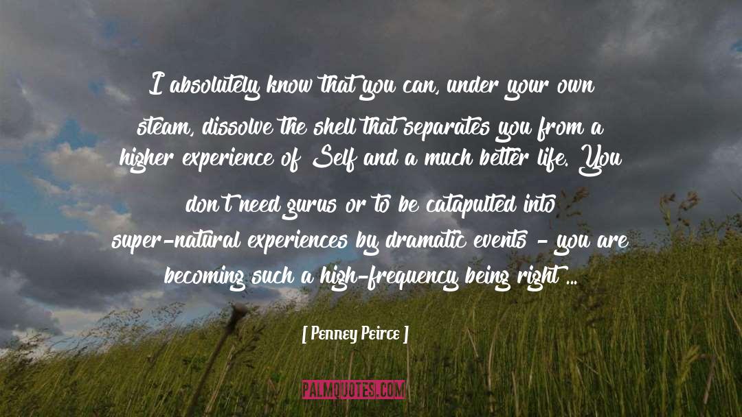 Transformation Growth quotes by Penney Peirce