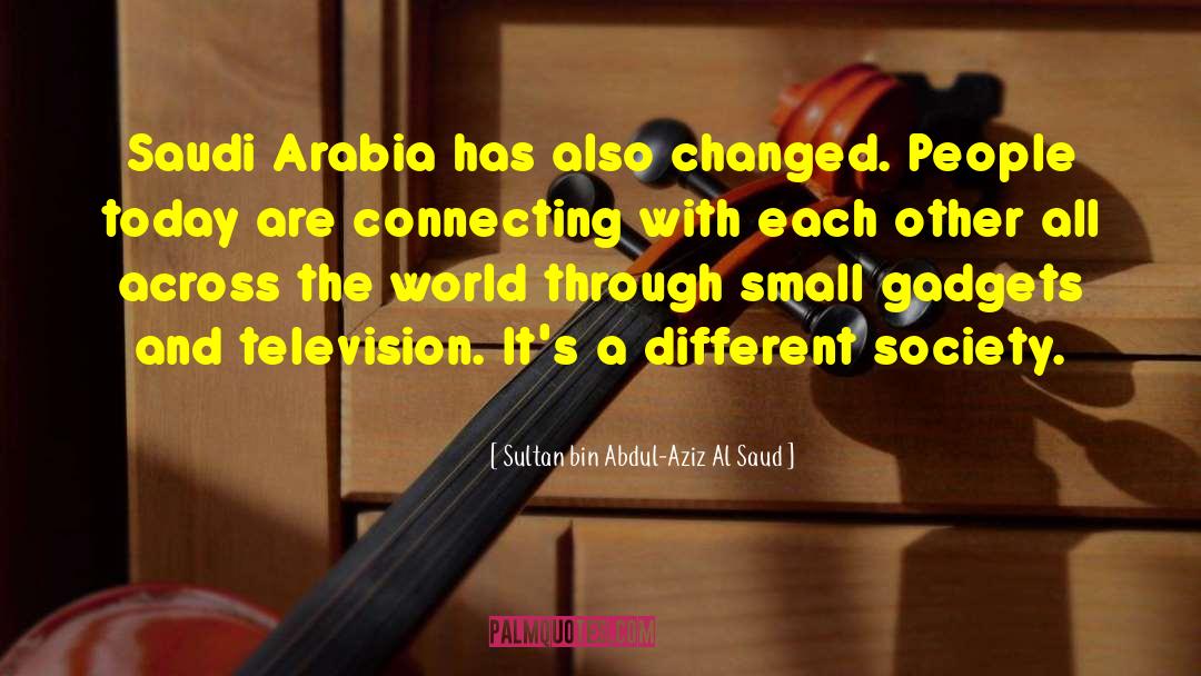 Transforming Society quotes by Sultan Bin Abdul-Aziz Al Saud
