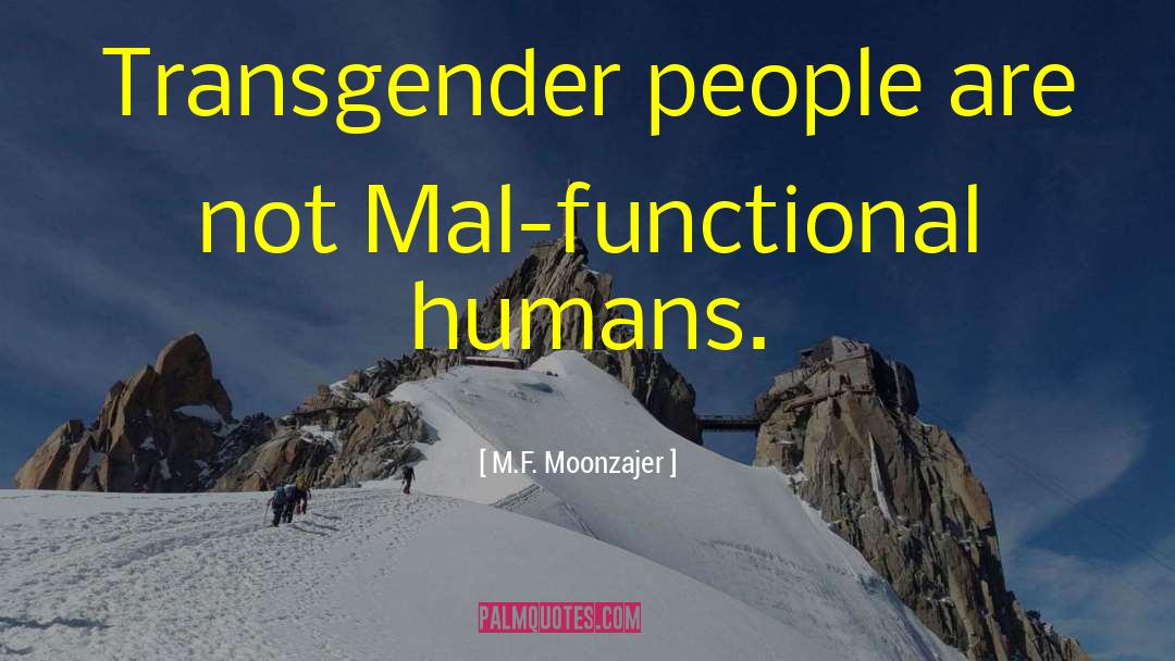 Transgender quotes by M.F. Moonzajer