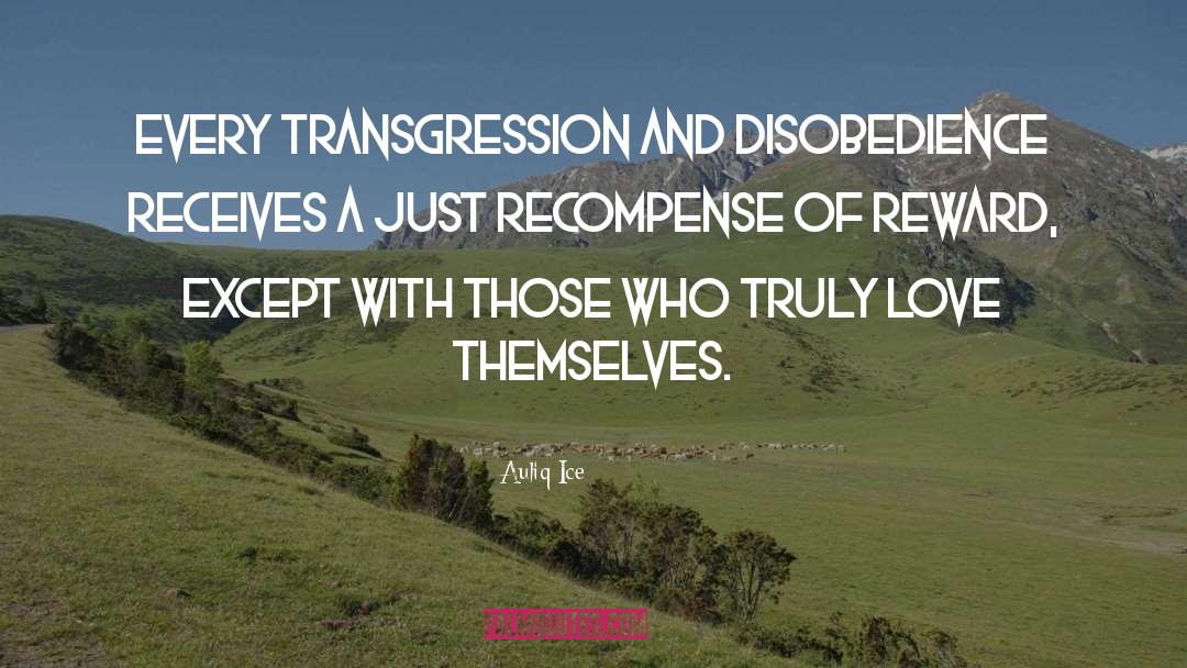 Transgression quotes by Auliq Ice