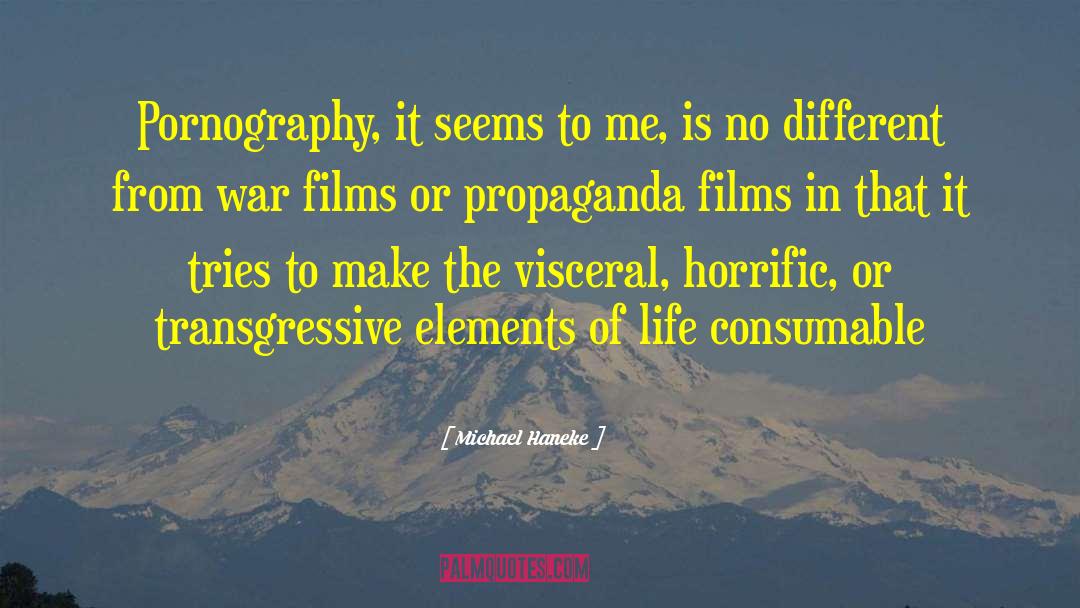 Transgressive quotes by Michael Haneke