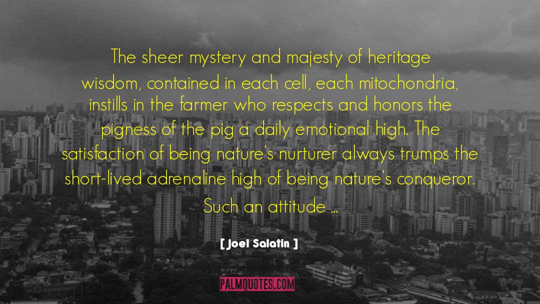 Transhuman Heritage quotes by Joel Salatin