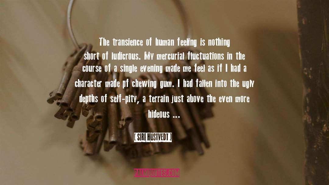 Transience quotes by Siri Hustvedt