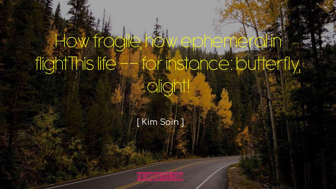 Transience quotes by Kim Soin