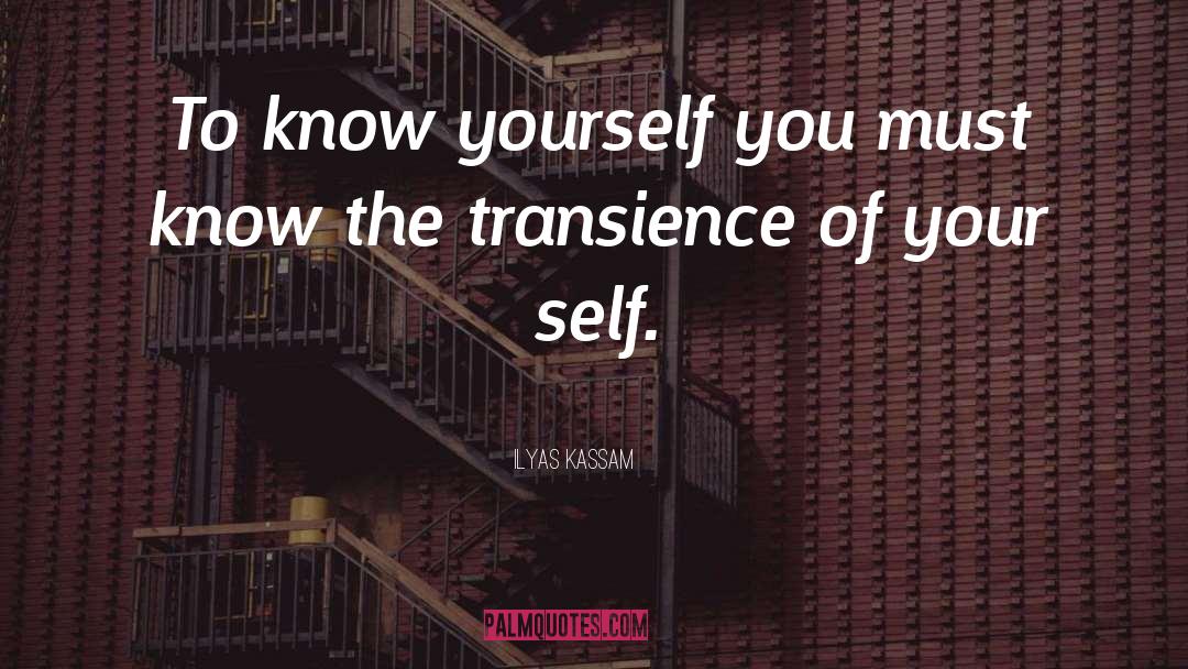 Transience quotes by Ilyas Kassam