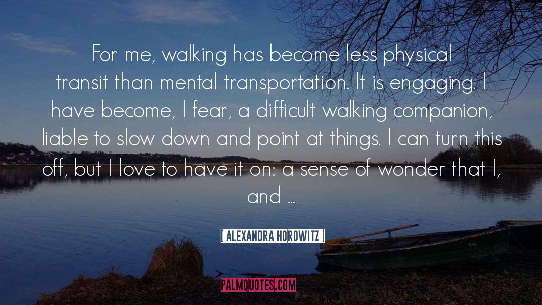 Transit quotes by Alexandra Horowitz