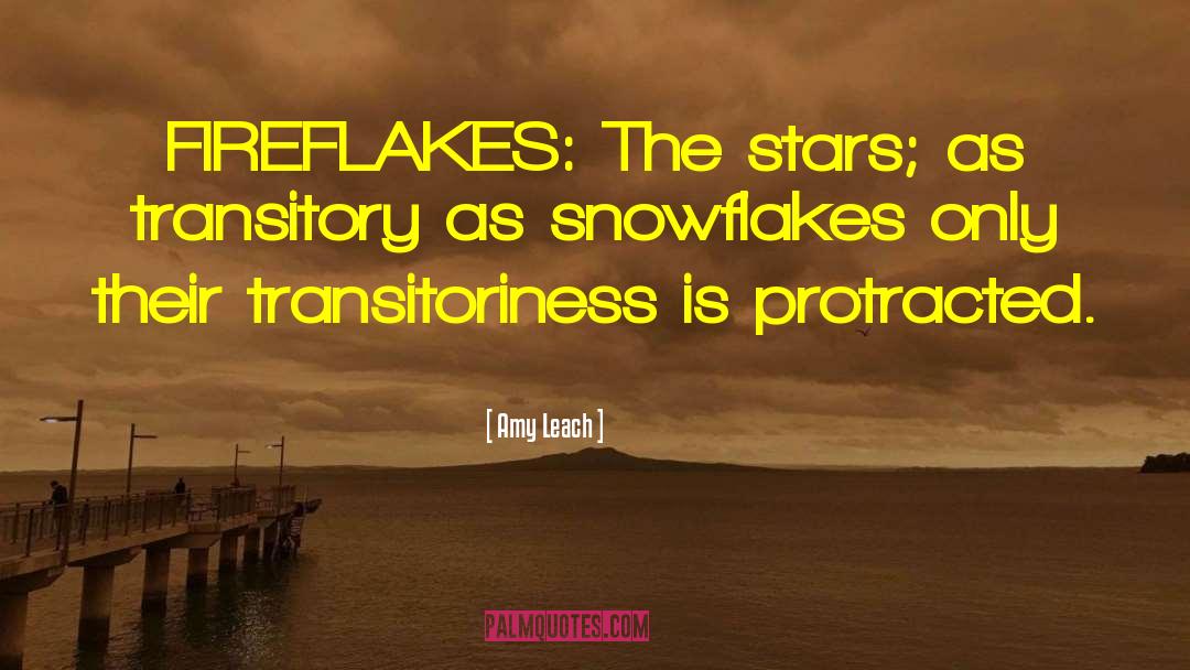 Transitoriness quotes by Amy Leach