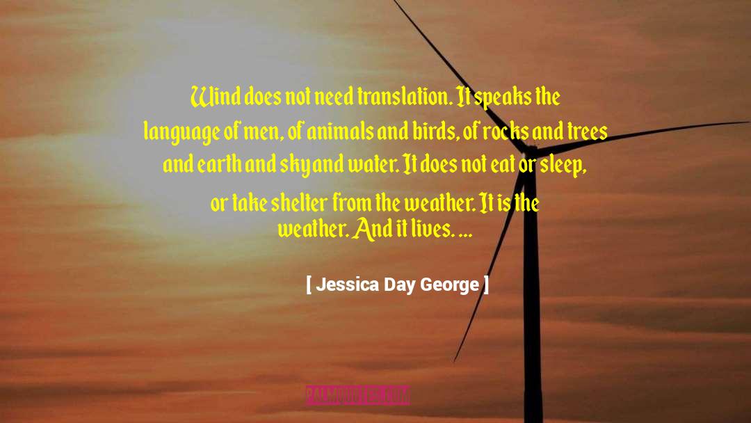 Translation quotes by Jessica Day George