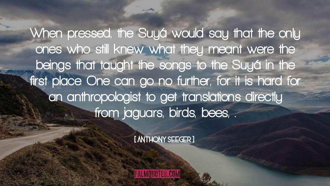 Translations quotes by Anthony Seeger