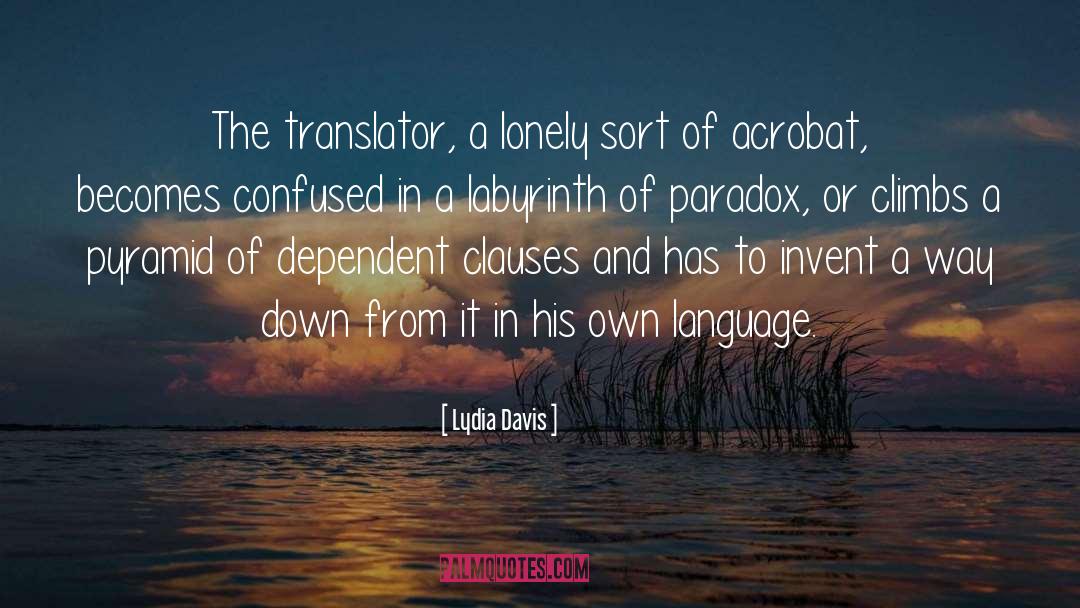 Translator quotes by Lydia Davis