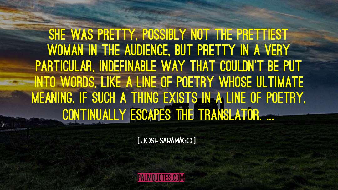 Translator quotes by Jose Saramago