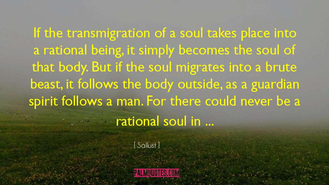 Transmigration quotes by Sallust