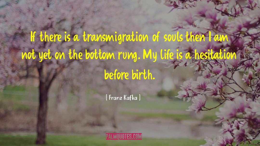 Transmigration quotes by Franz Kafka