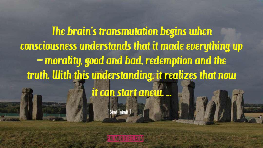 Transmutation quotes by Shai Tubali