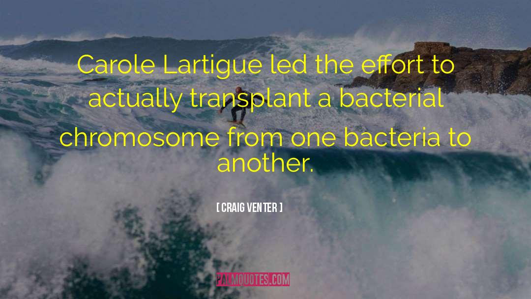 Transplant quotes by Craig Venter