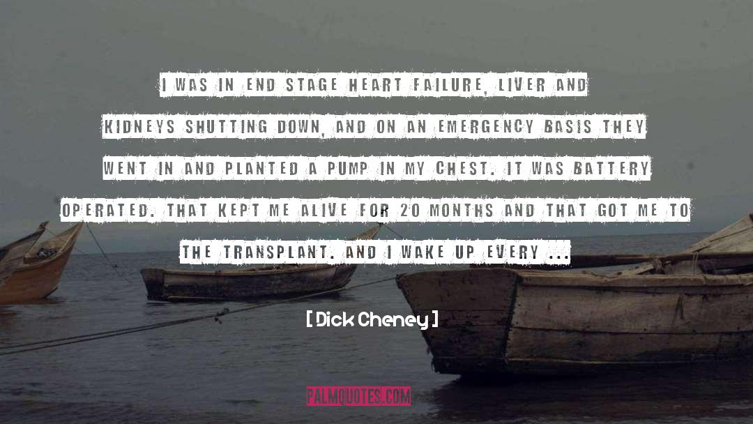 Transplant quotes by Dick Cheney