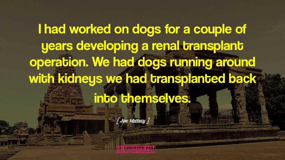 Transplants quotes by Joe Murray