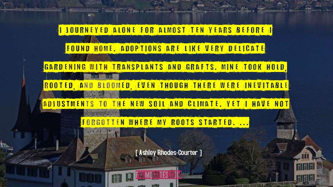 Transplants quotes by Ashley Rhodes-Courter