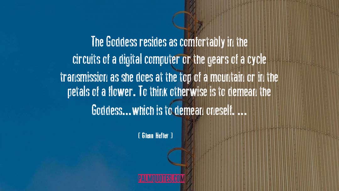 Trapdoors In Computer quotes by Glenn Hefley