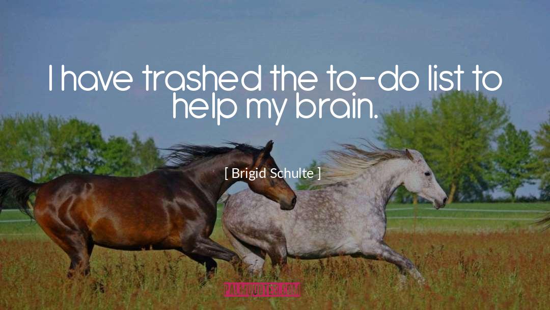 Trashed quotes by Brigid Schulte