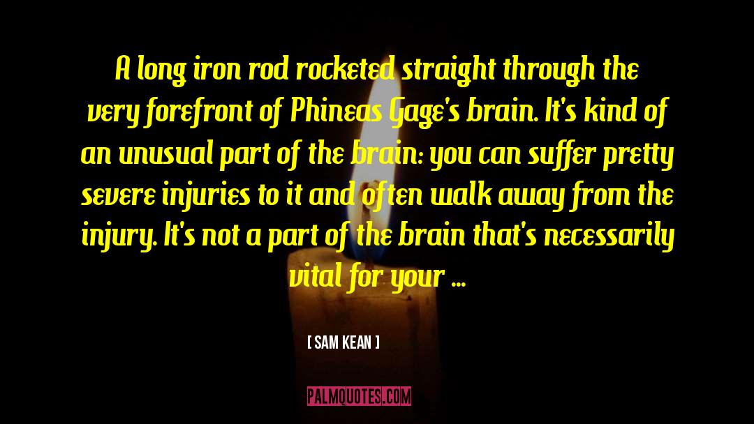 Traumatic Brain Injury quotes by Sam Kean