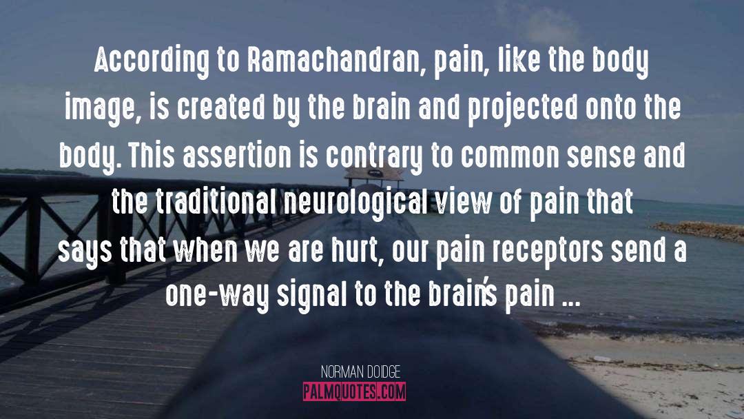 Traumatic Brain Injury quotes by Norman Doidge