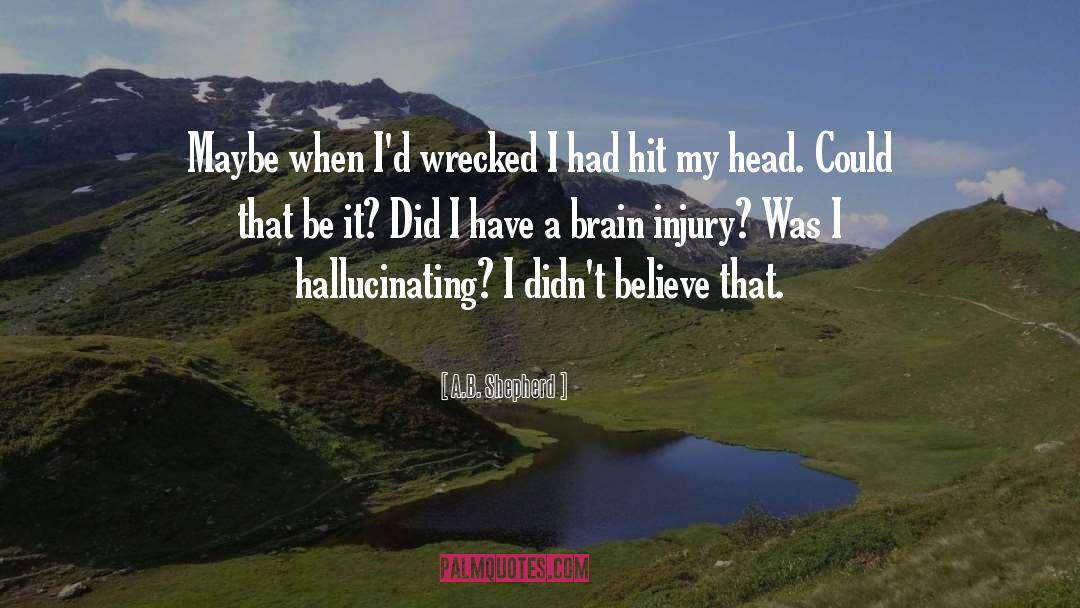 Traumatic Brain Injury quotes by A.B. Shepherd