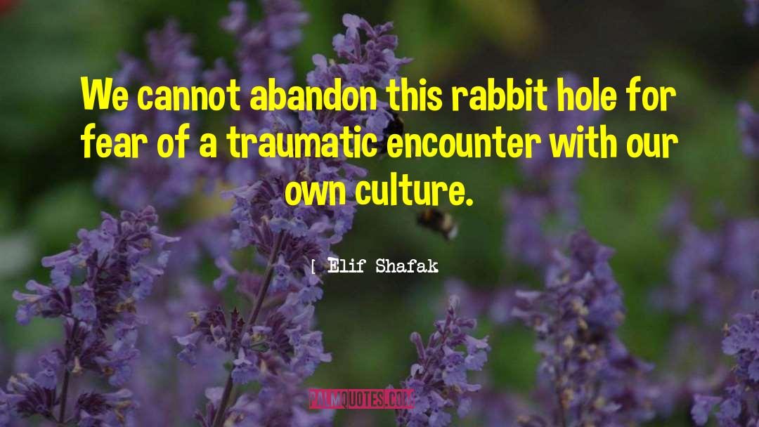 Traumatic Experiences quotes by Elif Shafak