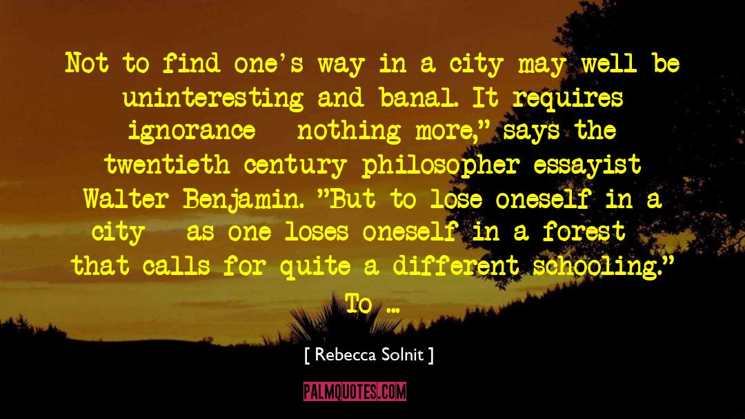 Travel Agent quotes by Rebecca Solnit