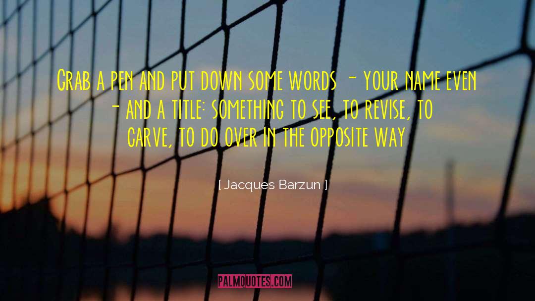 Travel And See quotes by Jacques Barzun