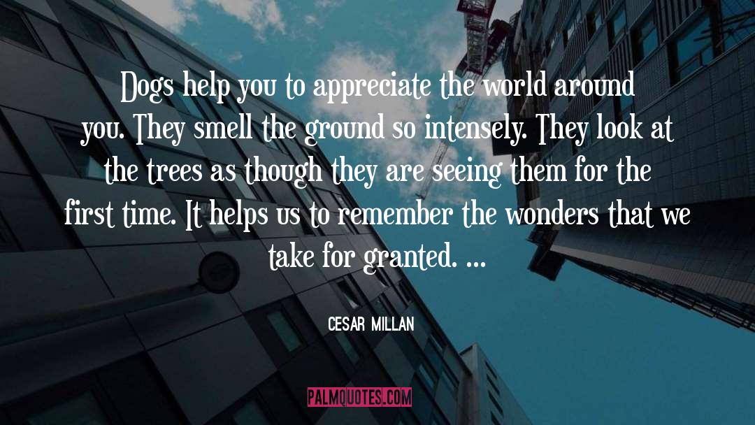 Travel Around The World quotes by Cesar Millan