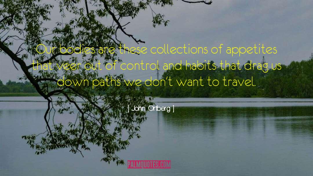 Travel Dreams quotes by John Ortberg