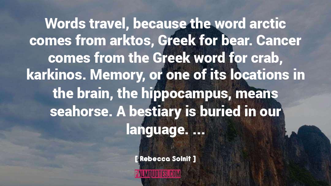Travel Far quotes by Rebecca Solnit