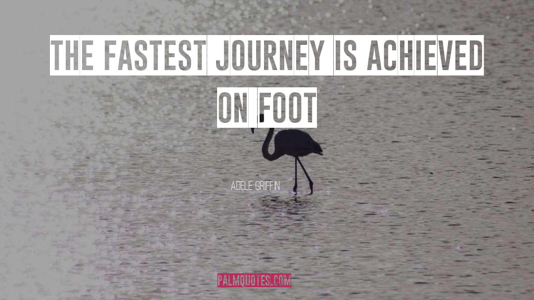 Travel Journey quotes by Adele Griffin
