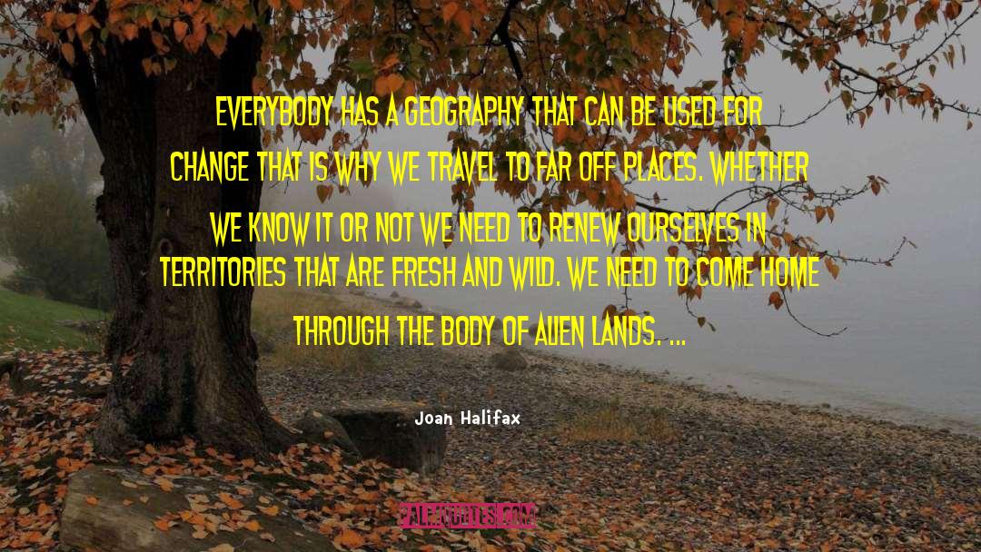 Travel Journey quotes by Joan Halifax