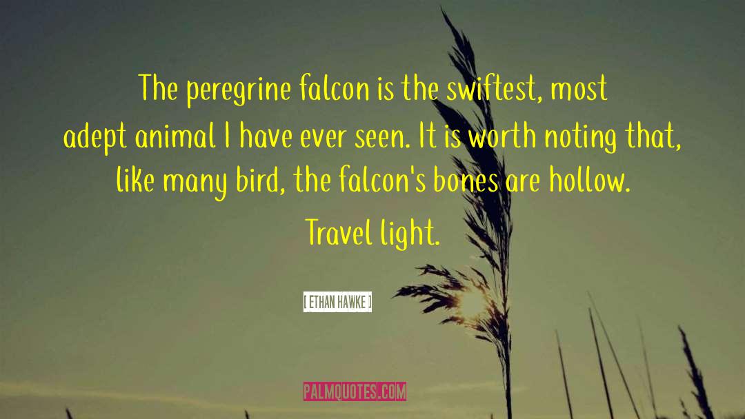 Travel Light quotes by Ethan Hawke