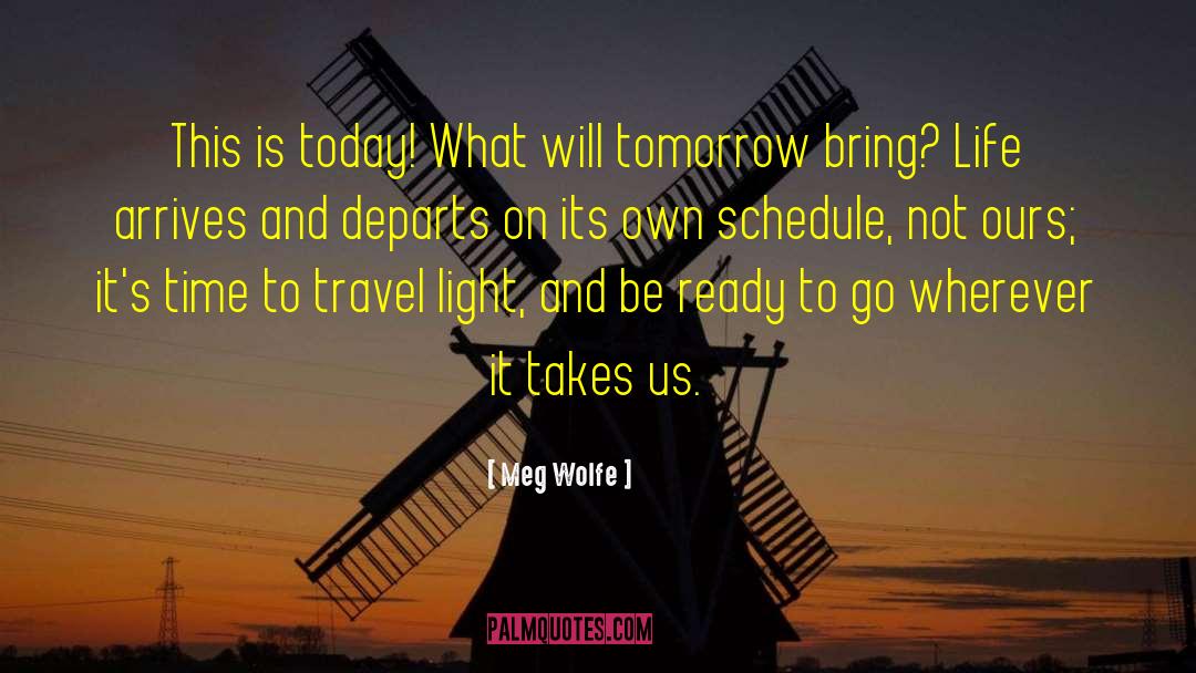 Travel Light quotes by Meg Wolfe