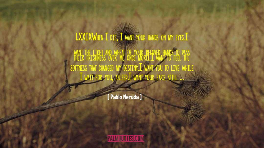 Travel Memoirs quotes by Pablo Neruda