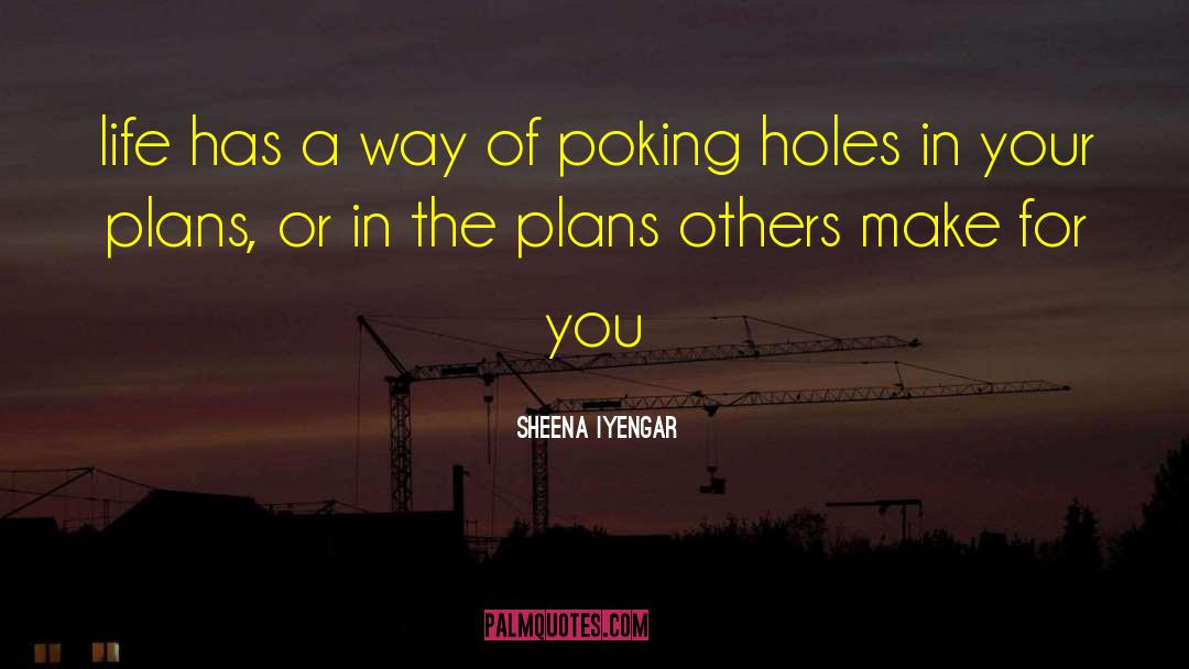 Travel Plans quotes by Sheena Iyengar