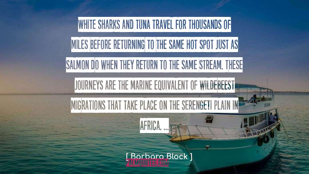 Travel Sickness quotes by Barbara Block