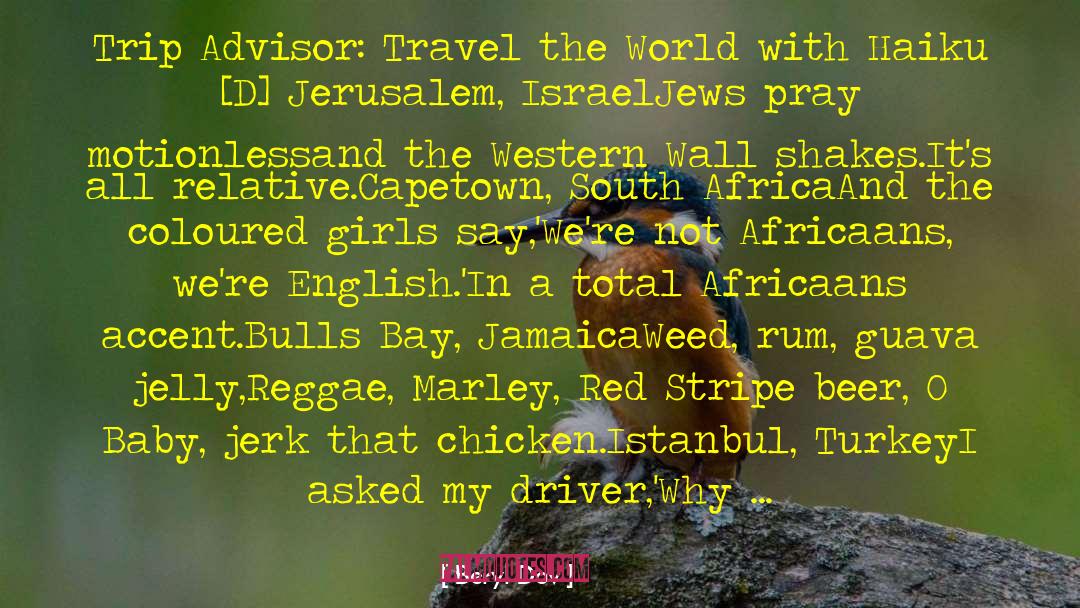 Travel The World quotes by Beryl Dov